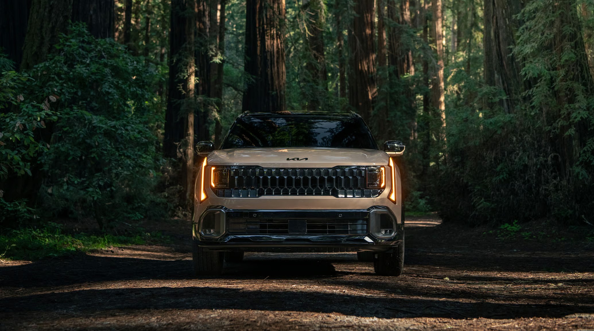 Illustrative all-new Seltos photo — see individual listing for exact vehicle